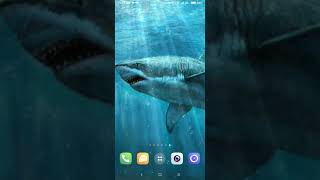 sharks live wallpapers screenshot 2