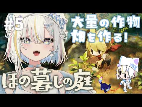 【ほの暮しの庭】夏突入！畑拡大したから大量の作物を育てる！ - 05【宵雨りと / ぶいわん】
