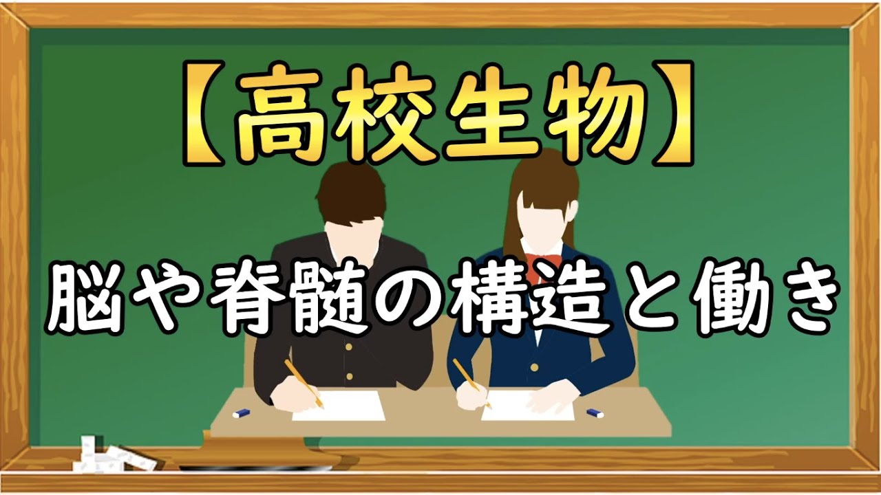 高校生物【脳や脊髄の構造と働き】オンラインで高校授業