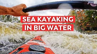 This Sea Kayak Was Scared For Its Life!