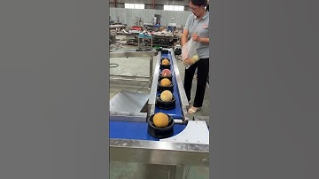 Check this conveyor multi-flap rejector checkweigher deigned for fresh vegetables weight sorting.