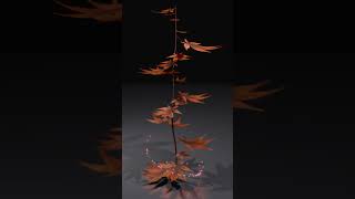 Maple Life and Death