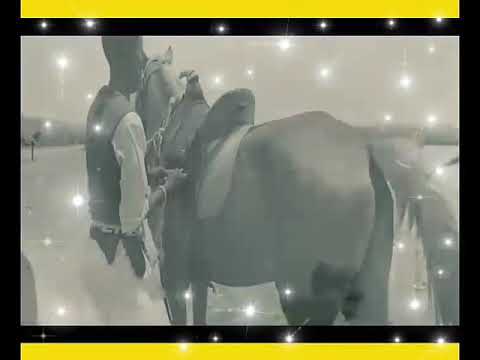 حامد عبدالله عنجه 