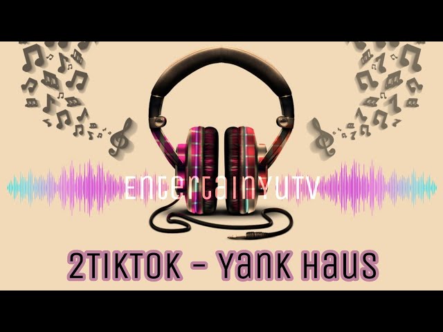 2TikTok - Yank Haus [Lyrics Video] class=