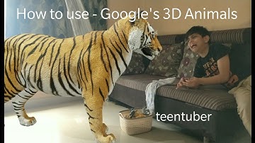 How to get 3d Animals in Google Google 3d Animals AR Feature - Snap and create video with 3D animals