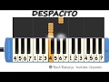 Despacito not pianika