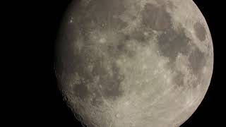 Nikon Coolpix P1000 Camera Shoots 125x Zoom Video of the Moon!