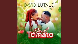 Red Tomato - David Lutalo