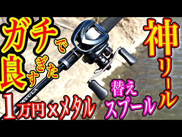 The Ultimate Budget Chinese Reel] Under $100, Metal Body, and