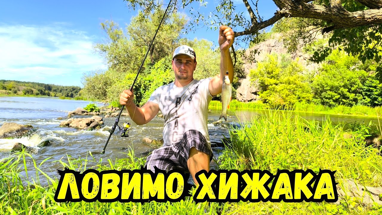 Ловимо хижака