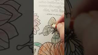 adult coloring of butterfly 🦋 flying subscribe 👈👍