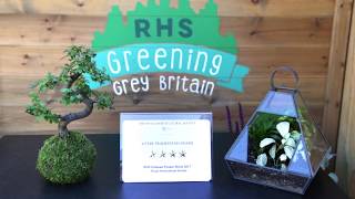 RHS Shop and Tranquil Plants at Chelsea flower show 2017