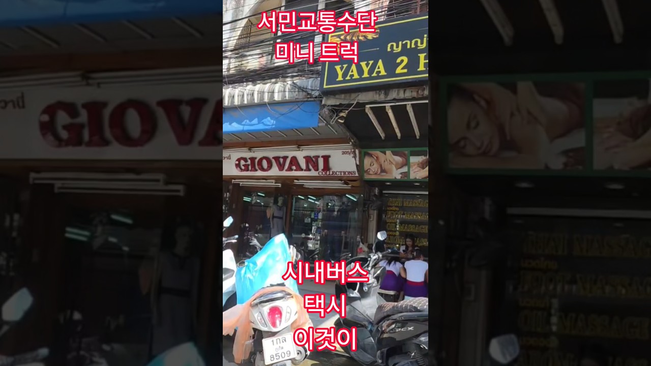미니트럭의 진가 서민의 발