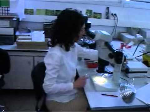 radioactive Quien dibuja la ciencia