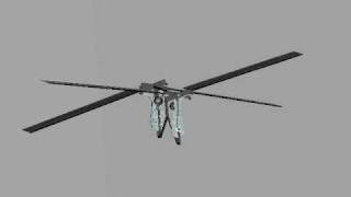 dragonfly Fixed offset flapping