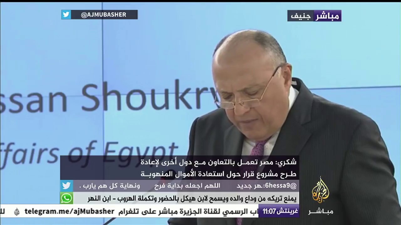 وزير الخارجية المصري: مصر من أكثر الدول تألما من الإرهاب