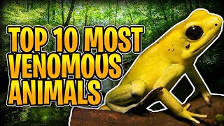 Top 10 Most Venomous Animals in the World.