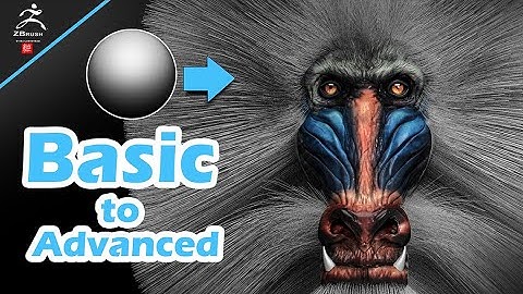 3D Mandrill Baboon Timelapse basic to advanced  - Zbrush Speed Sculpt