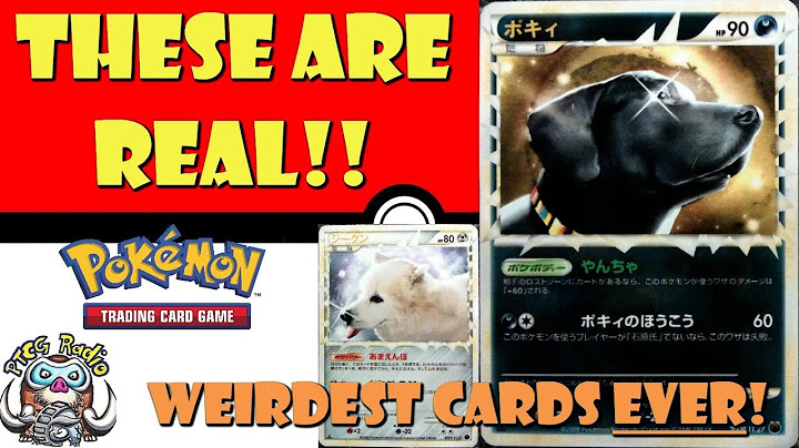 Weirdest Pokémon Cards EVER are REAL! Actual Dogs! Not Pokémon, Dogs! (Pokémon TCG News)