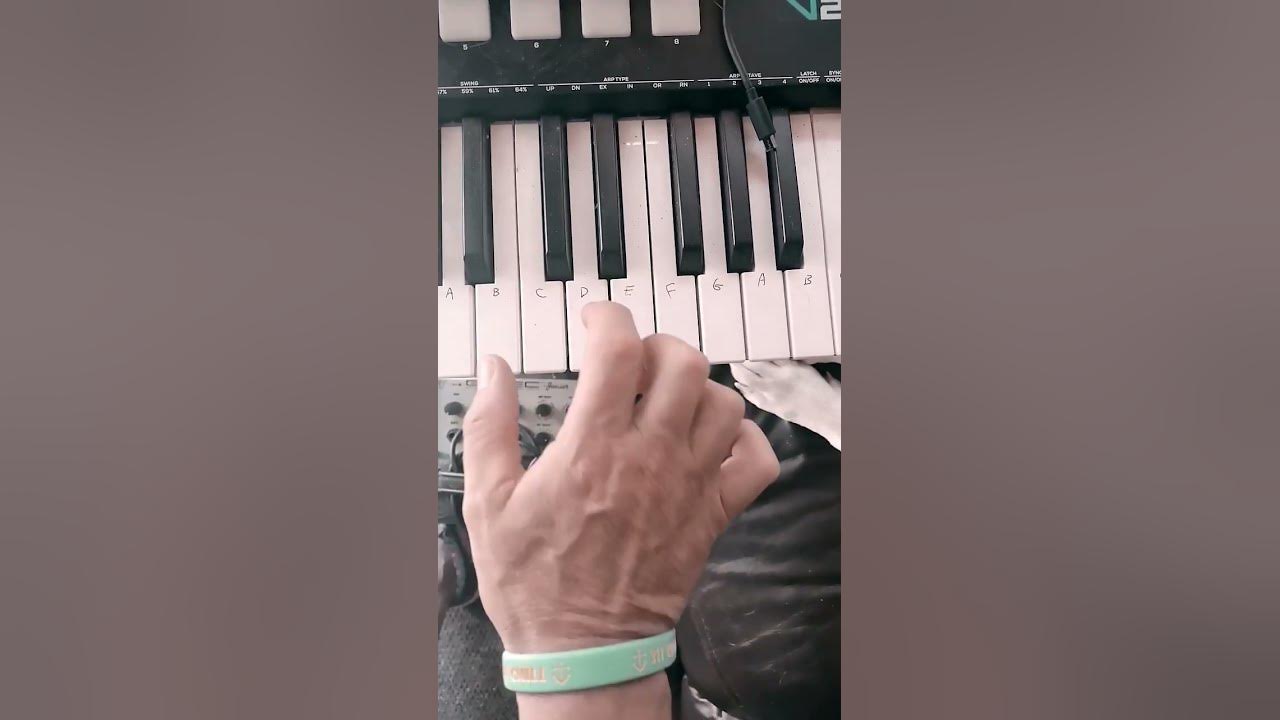What Song Am I Playing, Hint, This Is The Bass Line For Entire Song