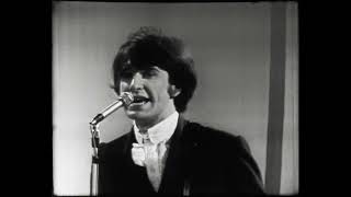 The Kinks - All Day And All Of The Night (Live Shindig! 1965) - Remastered