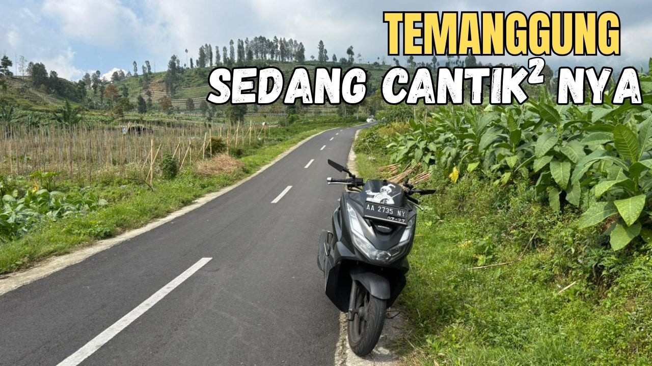 Solo Touring Temanggung Via Tambi  saat Musim Tembakau : Momen Terbaik