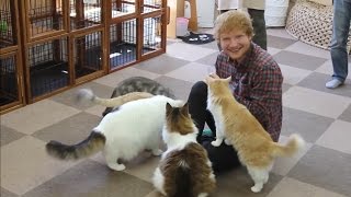 Ed Sheeran Funny&Cute Moments