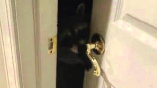 DONT LOCK ME OUT