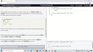 Lesson 81 - building javascript objects - freecodecamp Profile