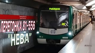 ЭКСКЛЮЗИВ! Перегонка 81-556 3 серии «Нева» на станции «Площадь Мужества»