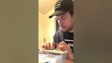 Using a Shift Register, LEDs & an Arduino