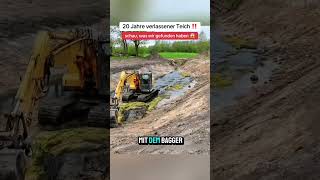 Komplett Verwildert Und Vergessen. Wir Haben Ihn Gereinigt Und Waren Schockiert