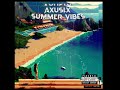 Axuslx  amnesia 3  album summer vibes 
