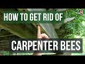 How to Get Rid of Carpenter Bees (3 Easy Steps)