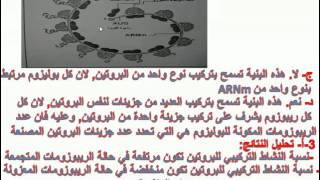 تمرين 4 تركيب البروتين