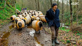 Family Heritage  Traditional Highland Migration | Documentary ▫4K▫