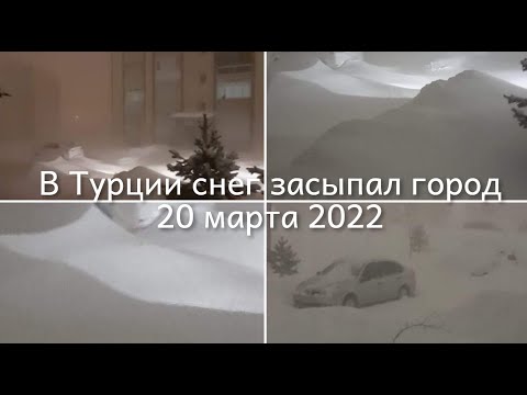 Бейне: Парчиде неше бөлік бар?