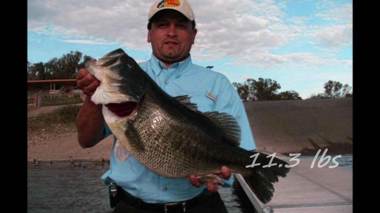 BIG Bass Fishing in Southern California GYPSY - YouTube
