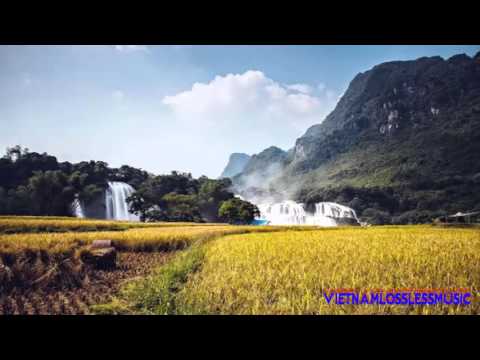 nhac khong loi tap trung tại Xemloibaihat.com