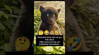 Haytımda Kolay Olan Tek Şey Kilo Almak Şfet Ğlencelivideolar