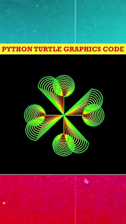 Python Turtle Graphics Code: Amazing Petals Shape Drawing#2023 - YouTube