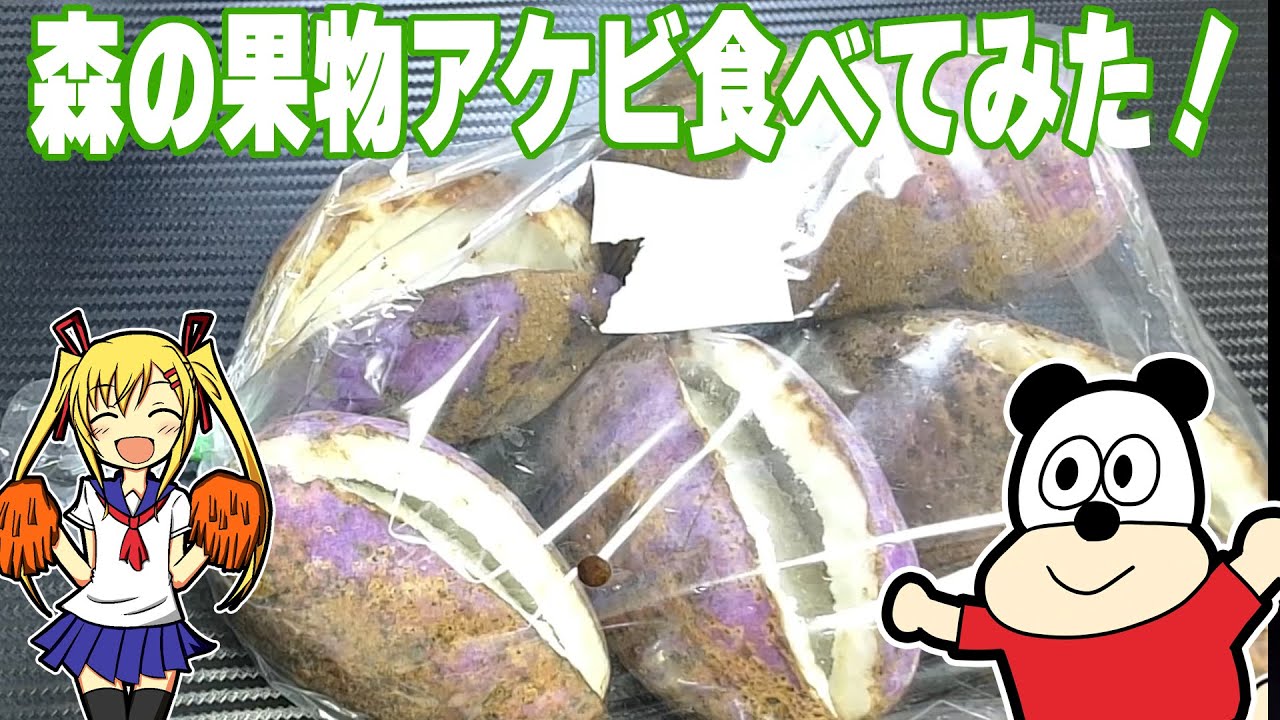 アケビのす I tried the forest fruit Akebia!] It was my first experience in my
