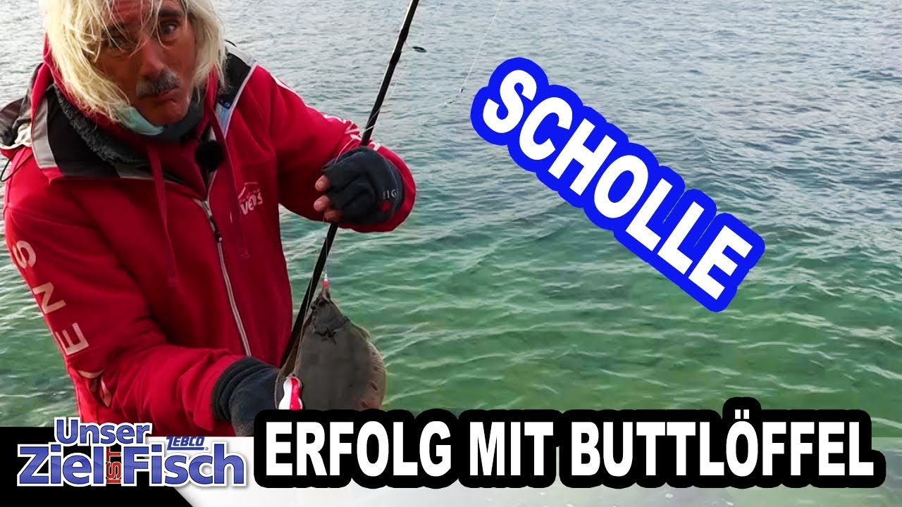 Folge 1 | PLATTFISCHE | Mit der Spinnrute auf auf Scholle - Flunder - Butt - Kliesche | LIVEBISSE