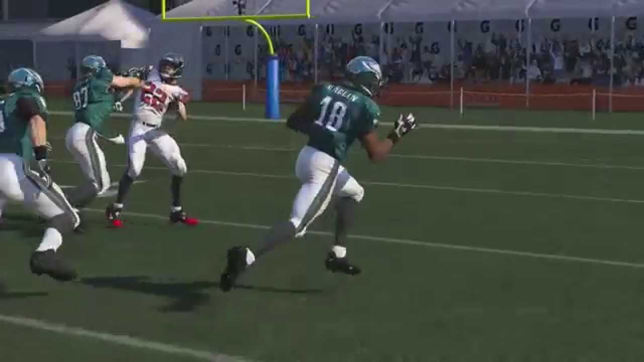 Madden 15 Top 15 Plays - #10 Gun Empty - WR Screen (Blitz Beater)