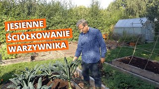 Ściółkowanie warzywnika jesienią. Co tu będzie uprawiane w przyszłym sezonie?