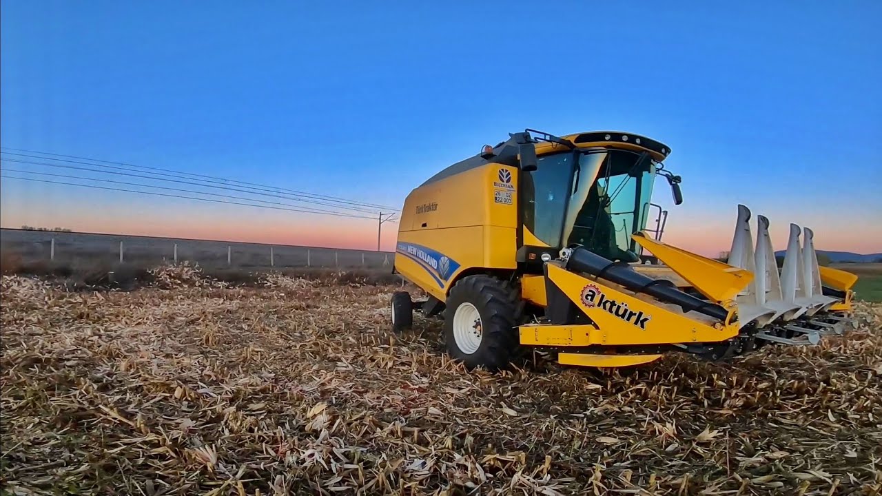 PİYASAYA TANELİK MISIR BİÇİYORUM! New Holland TC5.80