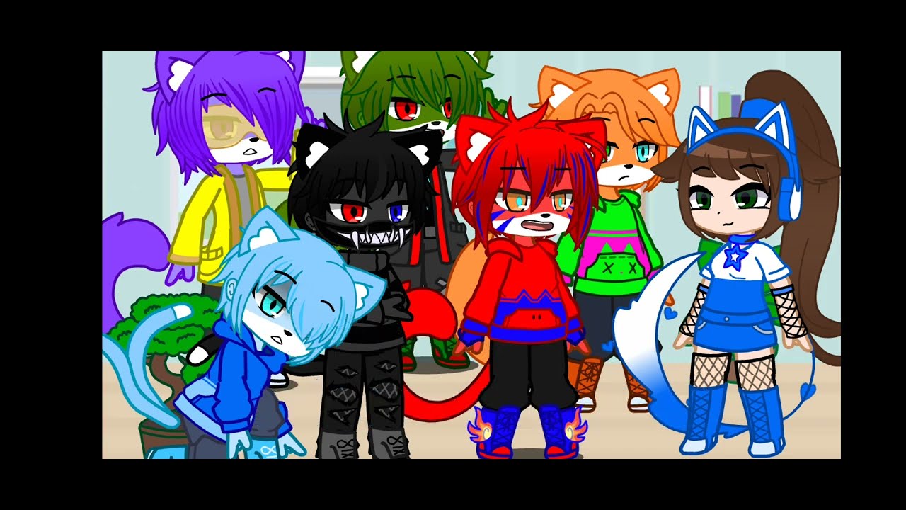 Жизнь за кадром разноцветные коты ☆