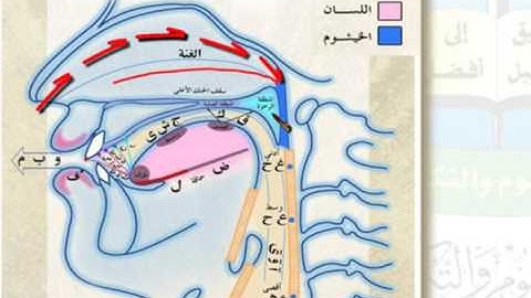 الوحدة الخامسة (الشفتان والخيشوم) - مقرر مهارات تلاوة القرآن الكريم