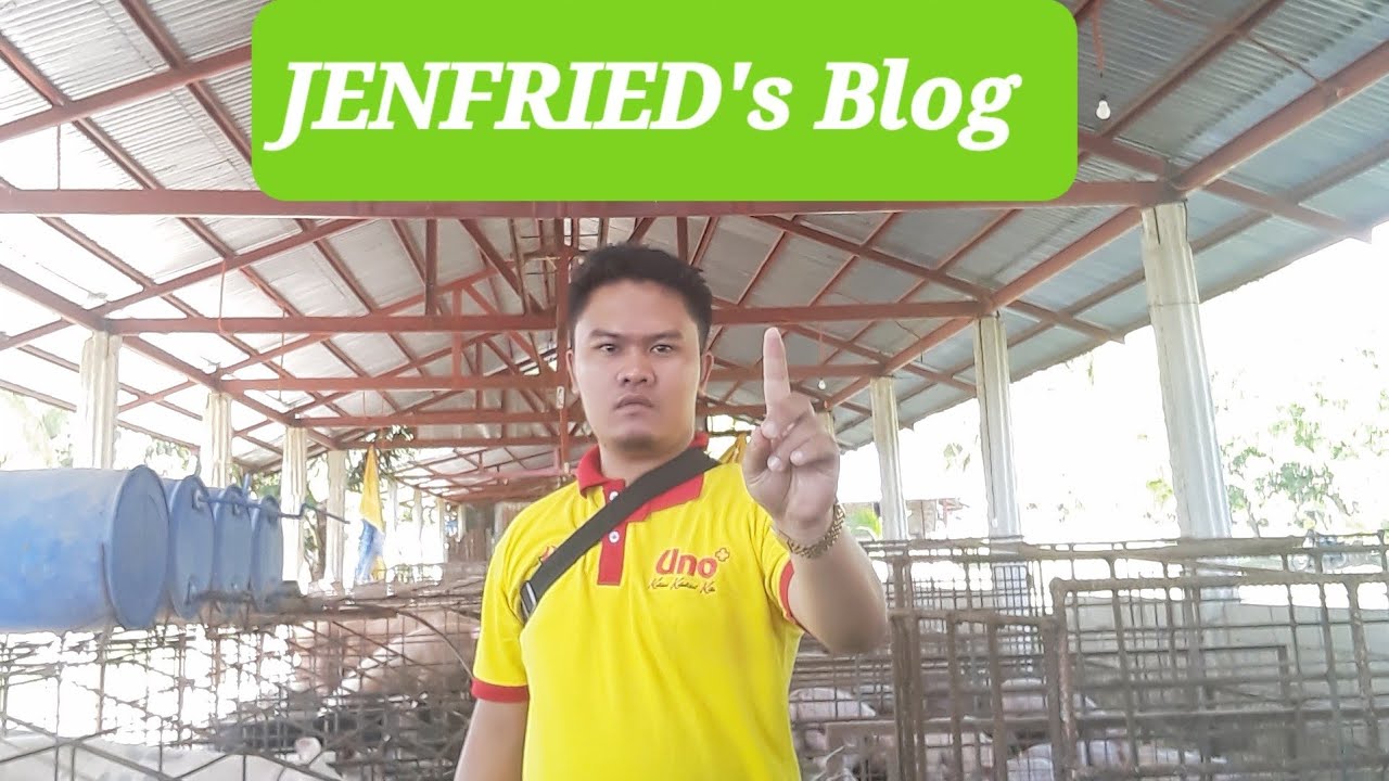 Piglets Tooth CuttingTail DockingProbinsya YouTube