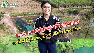พาชมฟาร์มสุข เลี้ยงแหนแดง จากที่ซื้อมาให้ กุ้ง ปลา จนสู่การสร้างรายได้งาม l ชมสวนเกษตรกรไทย Ep196